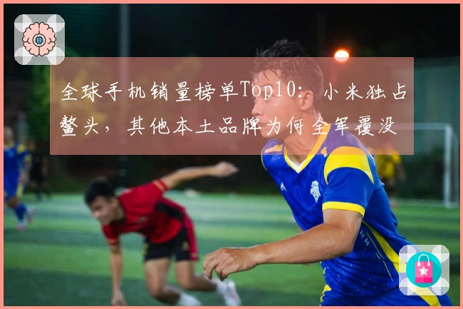 全球手机销量榜单Top10：小米独占鳌头，其他本土品牌为何全军覆没？