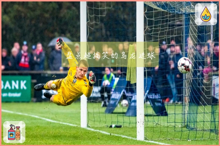 盘点超搞笑的乌龙进球